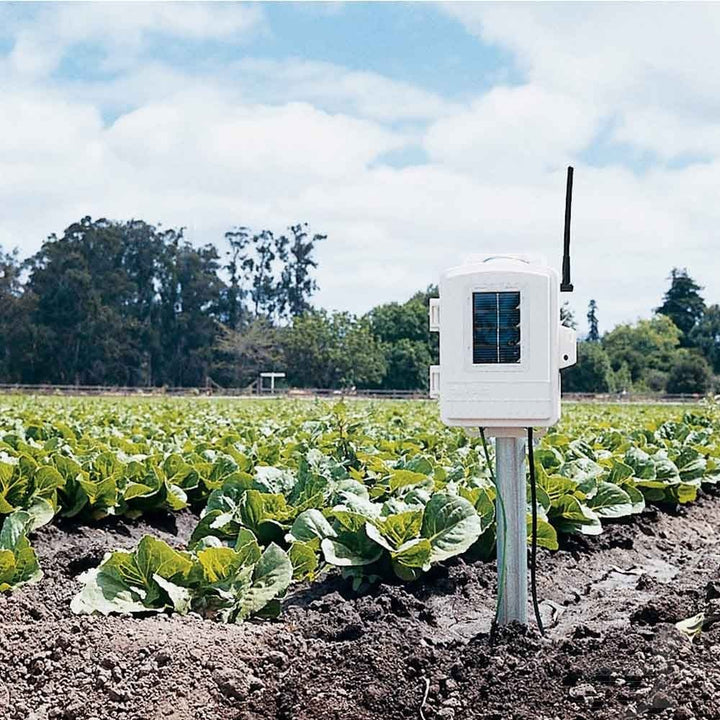 Davis Wireless Leaf &amp; Soil Moisture/Temperature Station (add sensors as required) - dev-weathershop